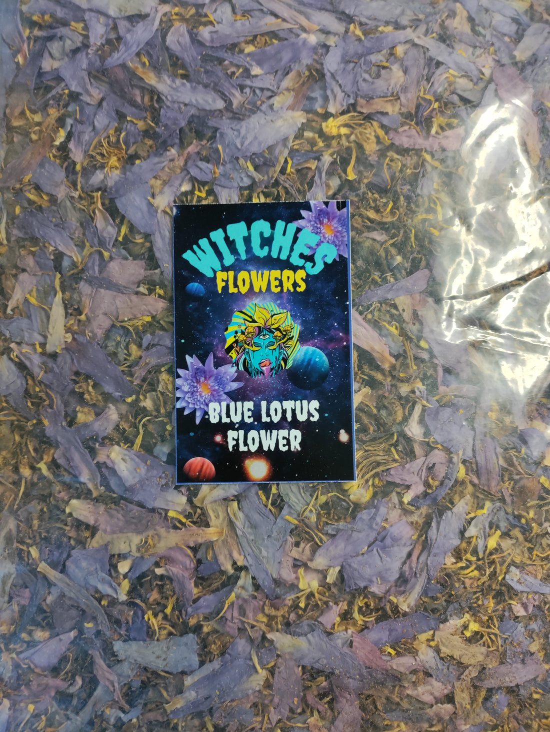 Blue Lotus: The Sacred Flower of Tranquility | Explore the Benefits at witcheskava.com