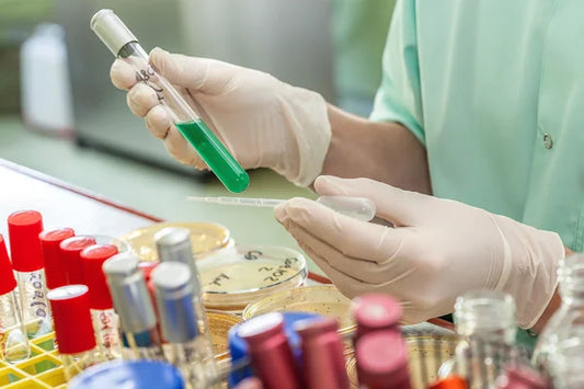 Will Kava Show Up in a Drug Test? Understanding the Facts