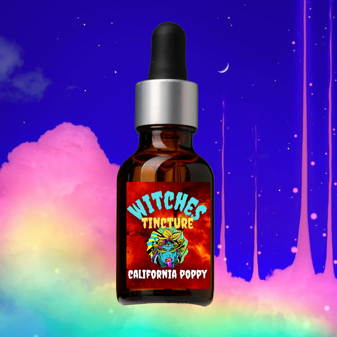 Discover the Vibrant Beauty of California Poppy | A Guide to its Features and Benefits